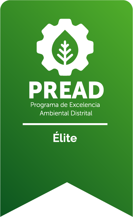 Certificado 1